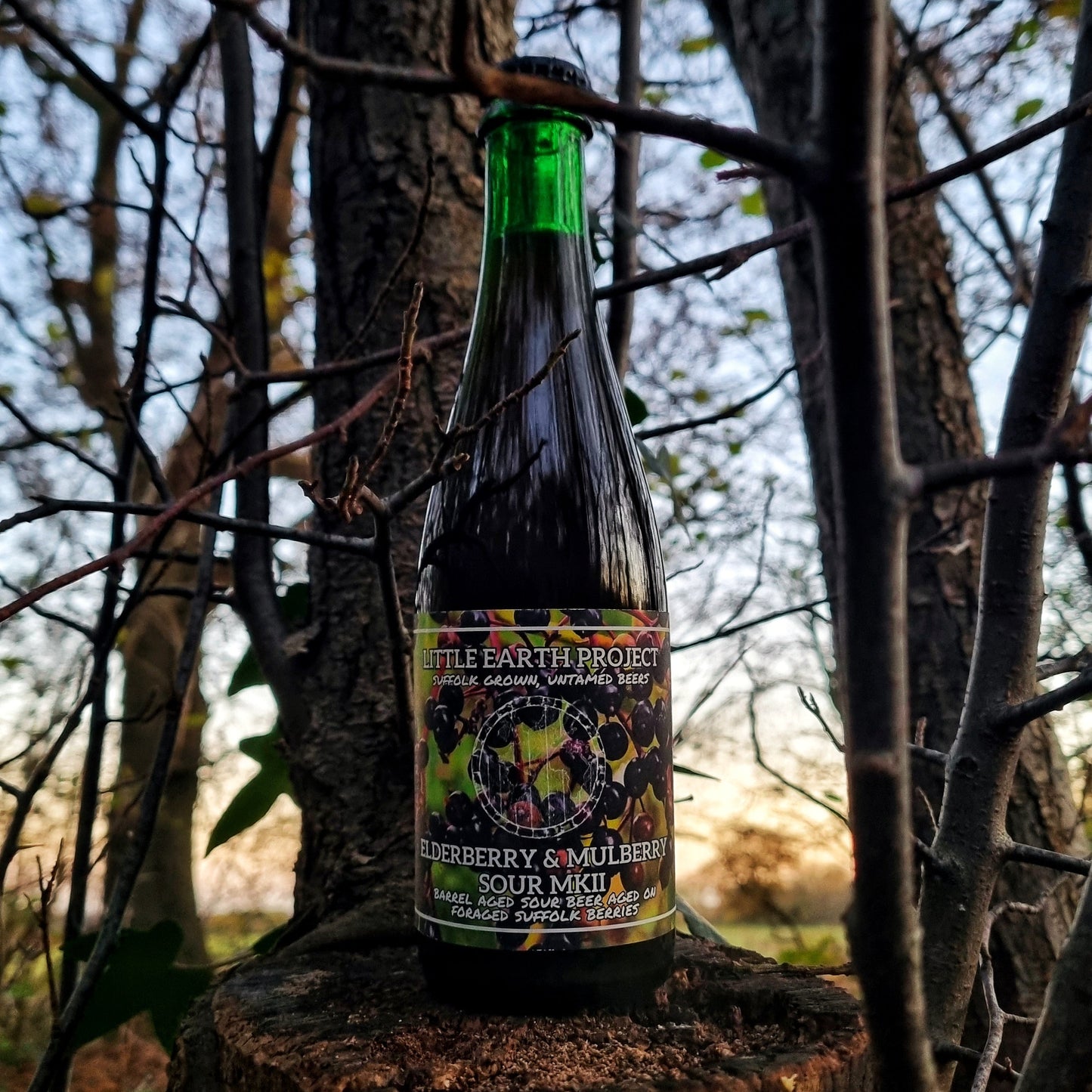 Bottle of Elderberry & Mulberry Sour MKII