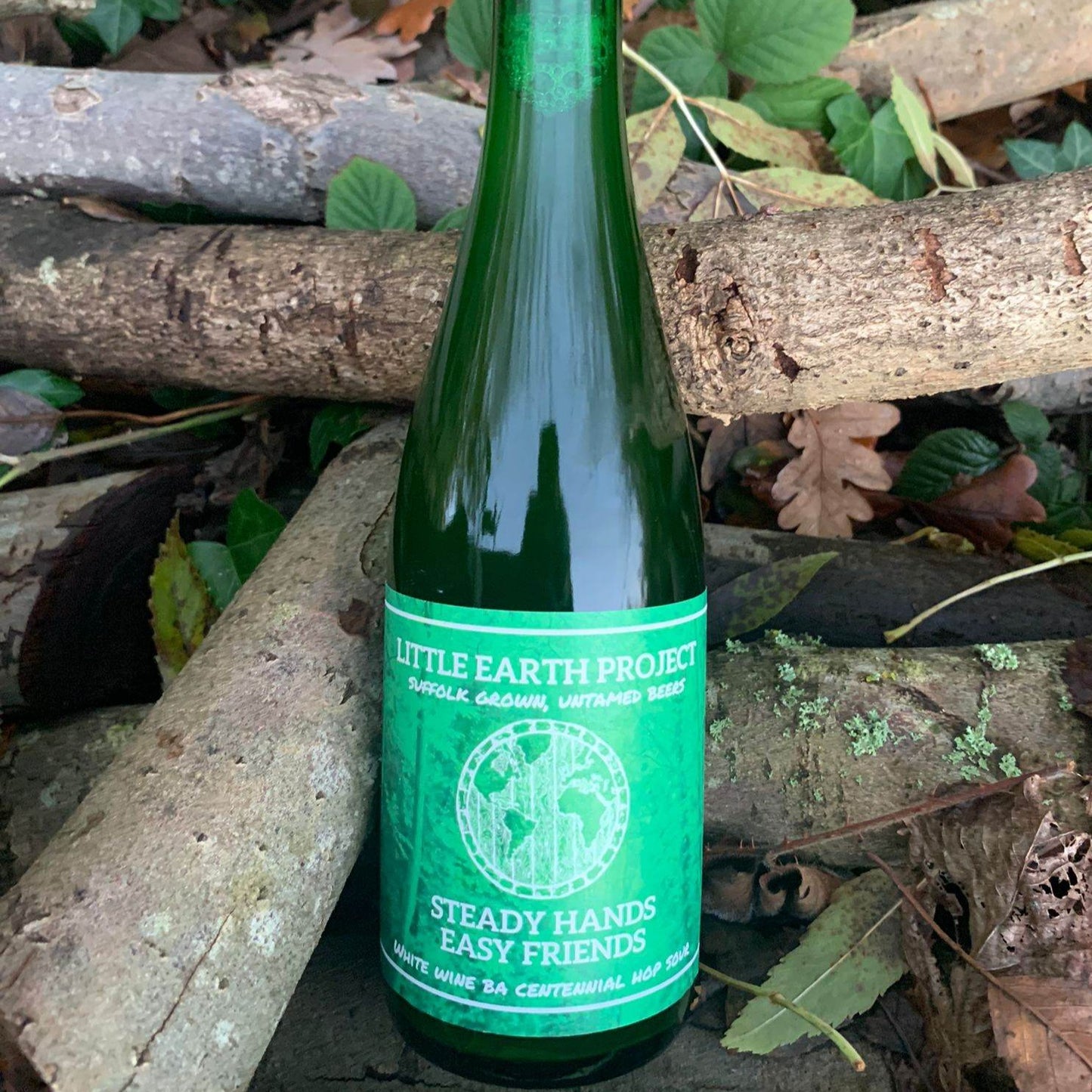 Steady Hands, Easy Friends