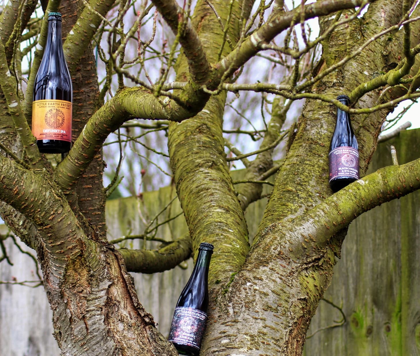 various LEP beers sat in a tree. 