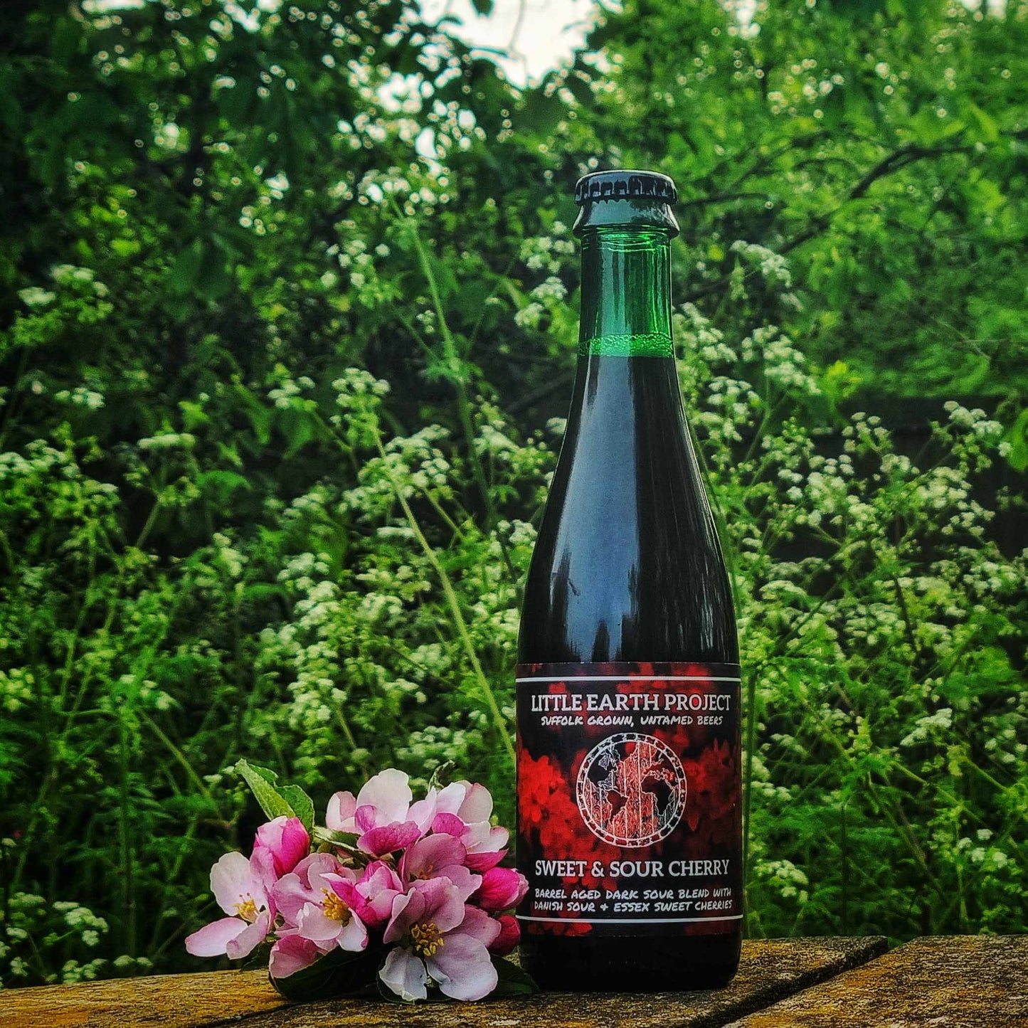 Sweet & Sour Cherry