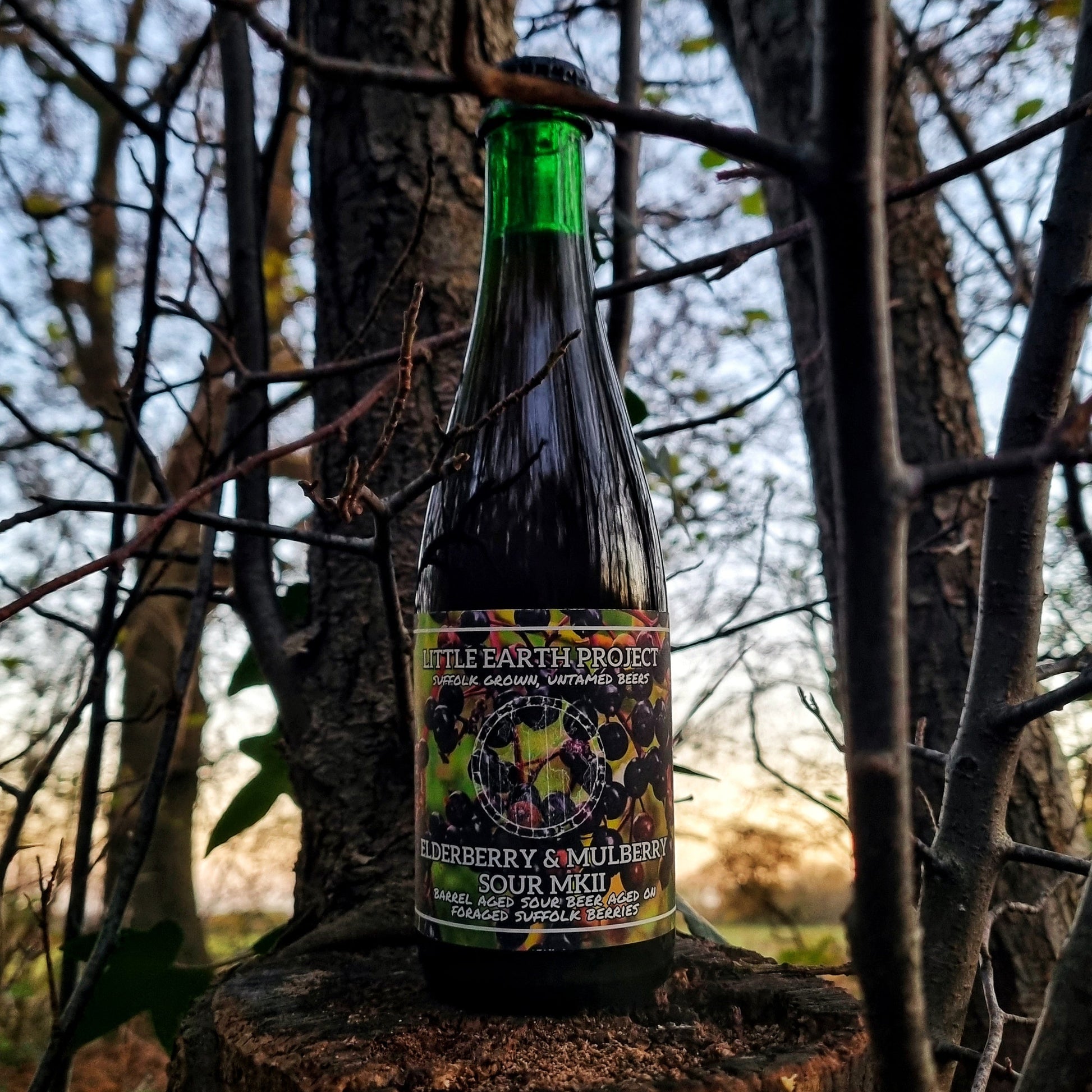 Bottle of Elderberry & Mulberry Sour MKII