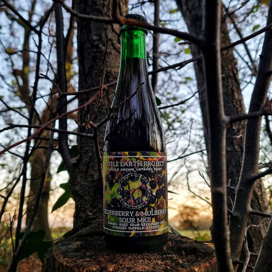 Bottle of Elderberry & Mulberry Sour MKII